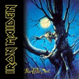 Обложка для Iron Maiden - Wasting Love