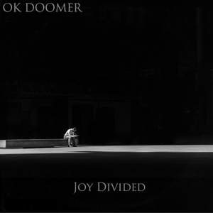 Обложка для OK Doomer - Disorder