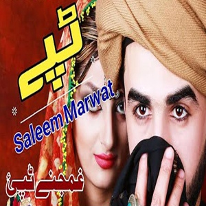 Обложка для Saleem Marwat - Musafarai Tha Thale Yaara Saleem Marwat