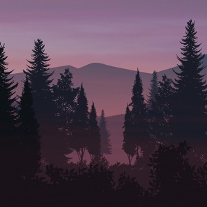 Обложка для SilWa - Twilight