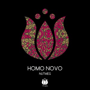 Обложка для Homo Novo - Nutmeg