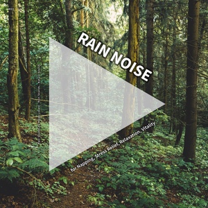 Обложка для Rain Sounds by Malek Lovato, Rain Sounds, Nature Sounds - Tranquil Rain Sounds