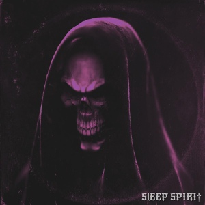 Обложка для SLEEP SPIRIT - Wild Hunt