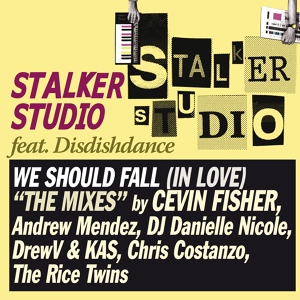 Обложка для Stalker Studio, Disdishdance - We Should Fall