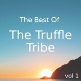Обложка для THE TRUFFLE TRIBE - Light out of nowhere