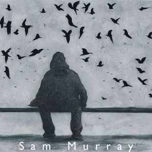 Обложка для Sam Murray - At the Birds