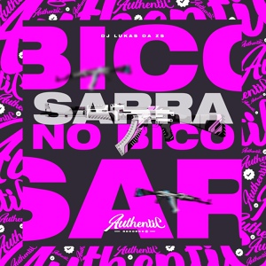 Обложка для DJ Lukas da ZS - Sarra no Bico