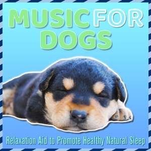 Обложка для Relax My Dog, Dog Music Dreams - Healthy Soul