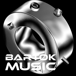 Обложка для Bartok Music - Gypsy Csardas