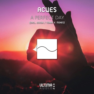 Обложка для Acues - A Perfect Day (Terra V. Remix)
