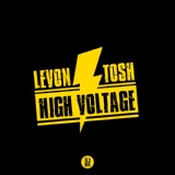 Обложка для TOSH, Levon - Время уйдет