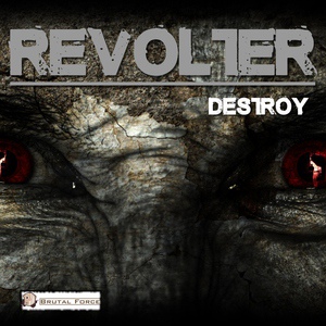 Обложка для Revolter - Destroy