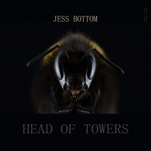 Обложка для Jess Bottom - Head of Towers