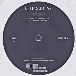 Обложка для Deep Sort 95 - Song For You
