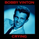Обложка для Bobby Vinton - I Fall to Pieces