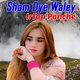 Обложка для Irfan Panche - Sham Dye Waley