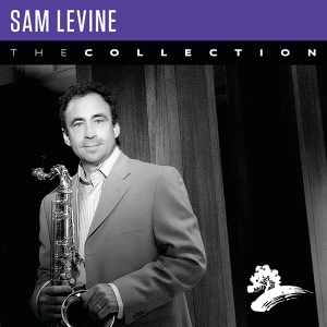 Обложка для Sam Levine - Your Love Is King