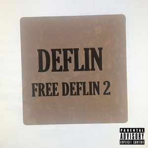 Обложка для DEFLIN - 25