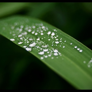 Обложка для Sleep Music System, Nature Chillout, Sonido de lluvia - Summer Rains