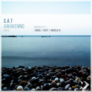 Обложка для S.A.T - Awakening (EMIOL Remix)