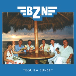 Обложка для BZN - Summer