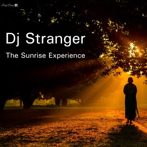 Обложка для Dj Stranger - Slide
