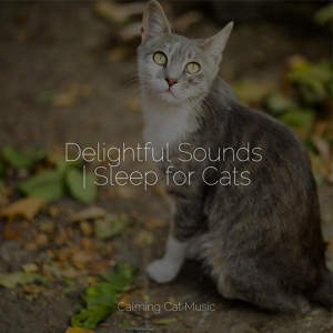 Обложка для Music for Pets Library, RelaxMyCat, Cat Music Therapy - Music for Deep Sleep