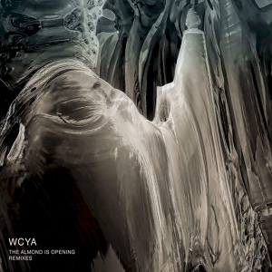 Обложка для WCYA - Abstruse Two