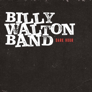 Обложка для Billy Walton Band - Confusion