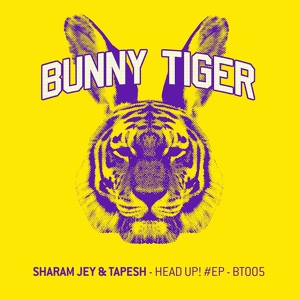 Обложка для Sharam Jey, Tapesh - Head Up! (Dub Mix)