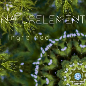 Обложка для Naturelement - Feeling For Healing