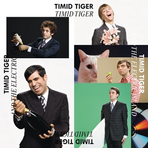 Обложка для Timid Tiger - Gadget Girl