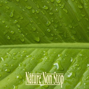 Обложка для Nature Non Stop - Hi Pitch Rain