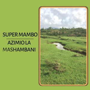 Обложка для Super Mambo - Samedi