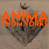 Обложка для Thom Yorke - Dawn Chorus