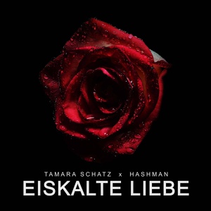 Обложка для Tamara Schatz, HASHMAN - Eiskalte Liebe