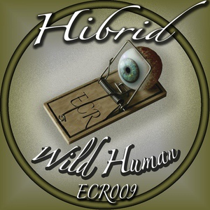 Обложка для Hibrid - Rocknrolla