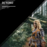Обложка для DJ Toro - Jungle Warrior