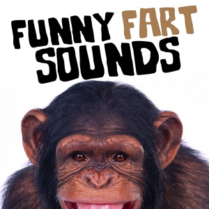 Обложка для Fart Sound Effects - Funny Fart 14