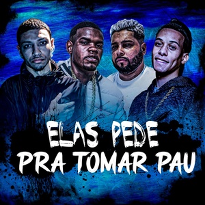 Обложка для Fb de Saquarema, MC Negritin, MC MAESTRO, MC MN - Elas Pede pra Tomar Pau