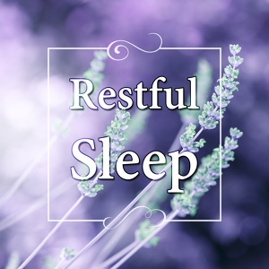 Обложка для Restful Sleep Music Collection - Hang Drum (Deep Sleep)