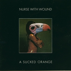Обложка для Nurse With Wound - Spiral Theme