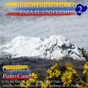 Обложка для Orquesta de Pedro Castro - Pasional