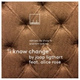 Обложка для Jaap Ligthart feat. Alice Rose - I Know Change