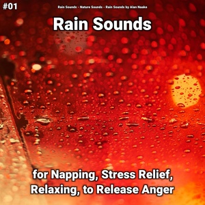 Обложка для Rain Sounds, Nature Sounds, Rain Sounds by Alan Naake - Rain