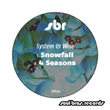 Обложка для System & Wise - 4 Seasons