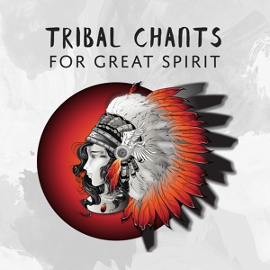 Обложка для Native American Music Consort - Last Journey