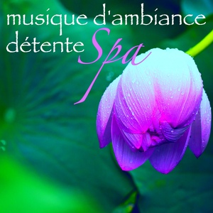 Обложка для Spa Salon - Spa musique d'ambiance (Bien-être)