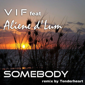 Обложка для V I F, Aliene D Lum - Somebody (Radio Mix)