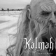 Обложка для Kalmah - Defeat